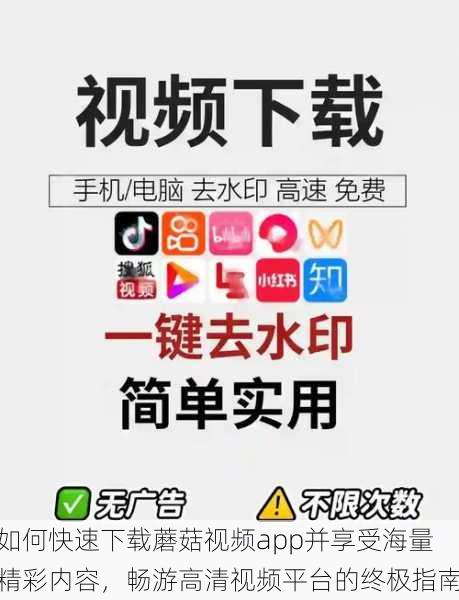 如何快速下载蘑菇视频app并享受海量精彩内容,畅游高清视频平台的终极指南