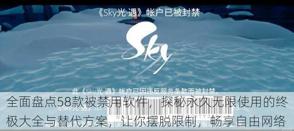 全面盘点58款被禁用软件,探秘永久无限使用的终极大全与替代方案,让你摆脱限制,畅享自由网络