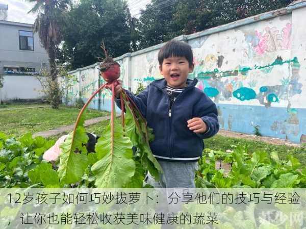 12岁孩子如何巧妙拔萝卜:分享他们的技巧与经验,让你也能轻松收获美味健康的蔬菜