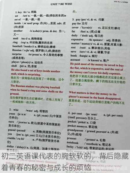 初二英语课代表的胸软软的,背后隐藏着青春的秘密与成长的烦恼
