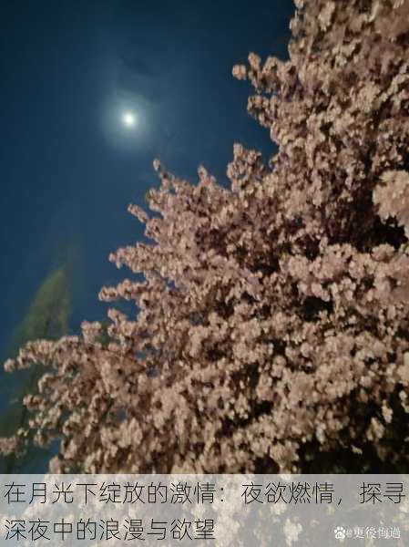 在月光下绽放的激情:夜欲燃情,探寻深夜中的浪漫与欲望