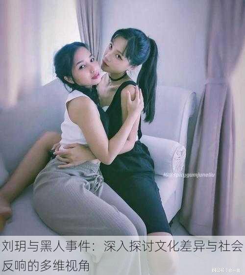 刘玥与黑人事件:深入探讨文化差异与社会反响的多维视角