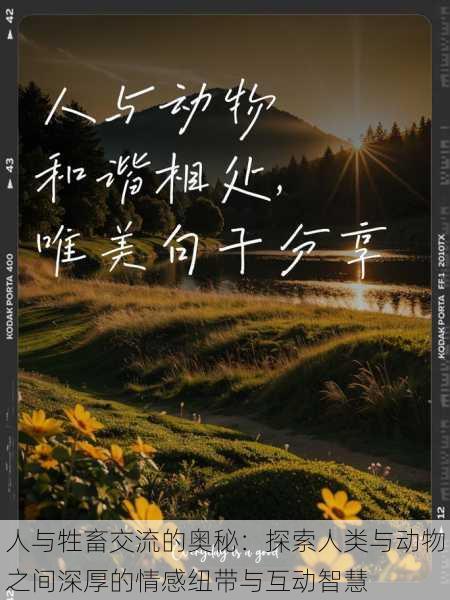 人与牲畜交流的奥秘:探索人类与动物之间深厚的情感纽带与互动智慧