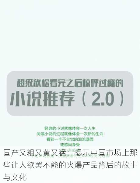 国产又粗又黄又猛:揭示中国市场上那些让人欲罢不能的火爆产品背后的故事与文化