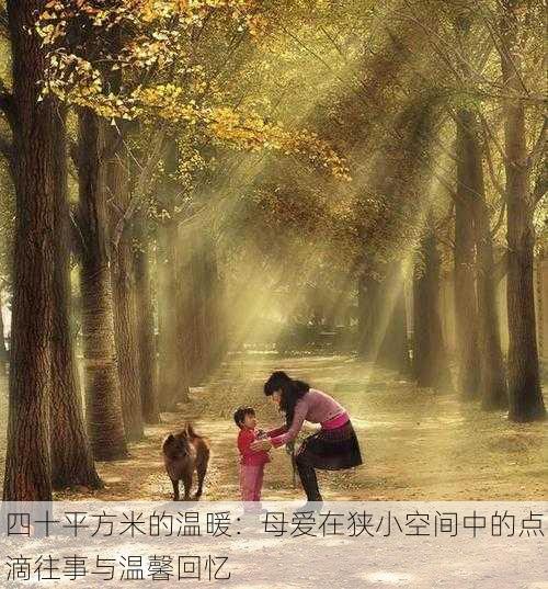 四十平方米的温暖:母爱在狭小空间中的点滴往事与温馨回忆