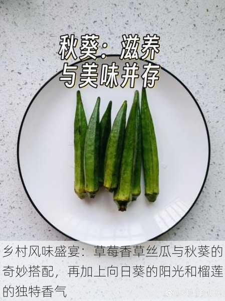 乡村风味盛宴:草莓香草丝瓜与秋葵的奇妙搭配,再加上向日葵的阳光和榴莲的独特香气
