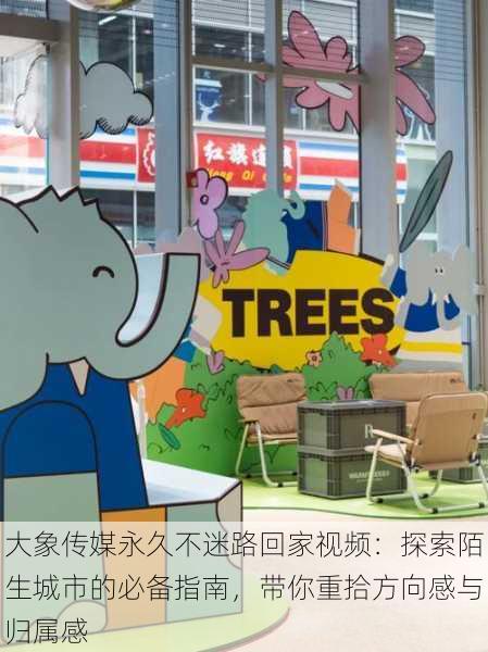 大象传媒永久不迷路回家视频:探索陌生城市的必备指南,带你重拾方向感与归属感