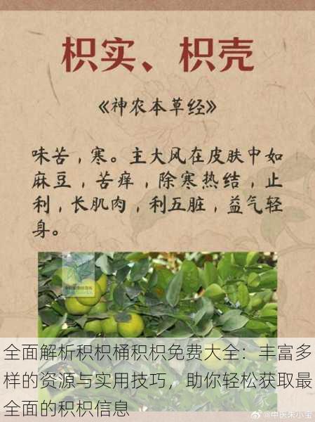 全面解析积枳桶积枳免费大全:丰富多样的资源与实用技巧,助你轻松获取最全面的积枳信息