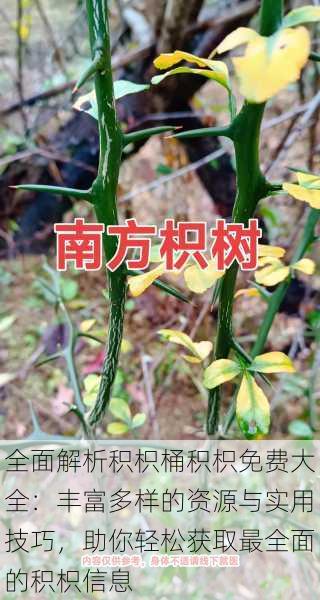 全面解析积枳桶积枳免费大全:丰富多样的资源与实用技巧,助你轻松获取最全面的积枳信息