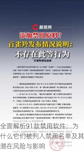 全面解析91款禁用软件:为什么它们被列入禁用名单及其潜在风险与影响