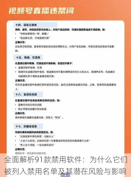 全面解析91款禁用软件:为什么它们被列入禁用名单及其潜在风险与影响