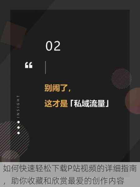 如何快速轻松下载P站视频的详细指南,助你收藏和欣赏最爱的创作内容