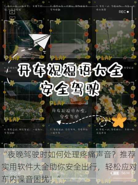 “夜晚驾驶时如何处理疼痛声音?推荐实用软件大全助你安全出行,轻松应对车内噪音困扰!”