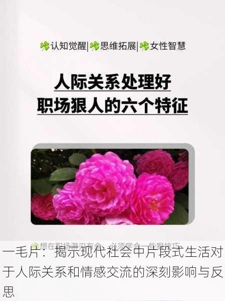 一毛片:揭示现代社会中片段式生活对于人际关系和情感交流的深刻影响与反思