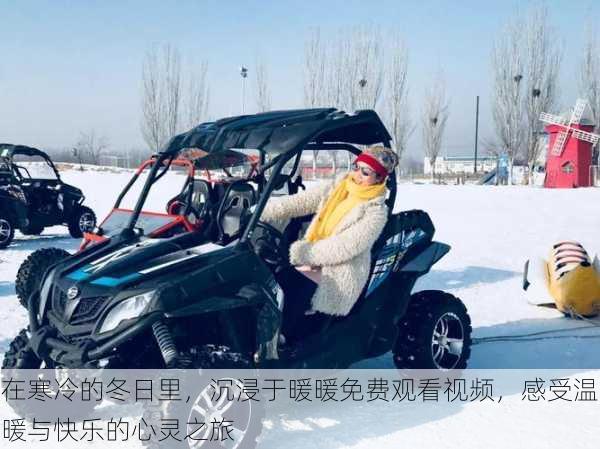 在寒冷的冬日里,沉浸于暖暖免费观看视频,感受温暖与快乐的心灵之旅