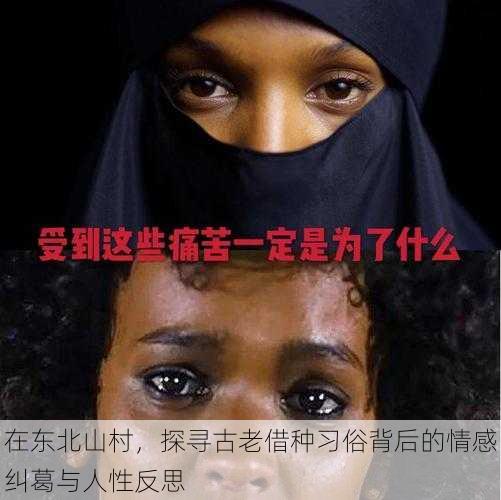 在东北山村,探寻古老借种习俗背后的情感纠葛与人性反思