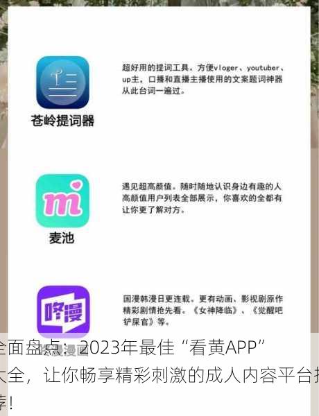 全面盘点:2023年最佳“看黄APP”大全,让你畅享精彩刺激的成人内容平台推荐!