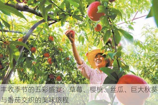 丰收季节的五彩盛宴:草莓、樱桃、丝瓜、巨大秋葵与番茄交织的美味旅程