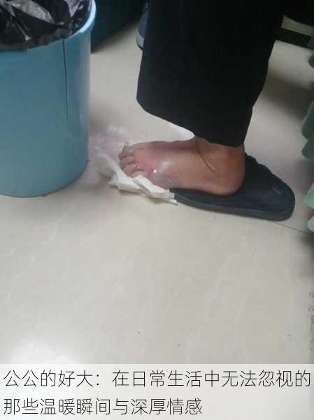 公公的好大：在日常生活中无法忽视的那些温暖瞬间与深厚情感