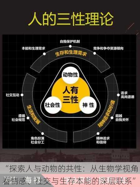 “探索人与动物的共性:从生物学视角看情感、社交与生存本能的深层联系”