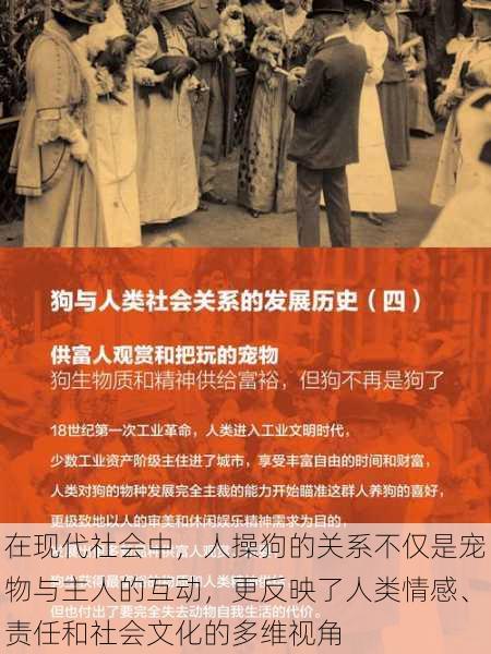 在现代社会中,人操狗的关系不仅是宠物与主人的互动,更反映了人类情感、责任和社会文化的多维视角