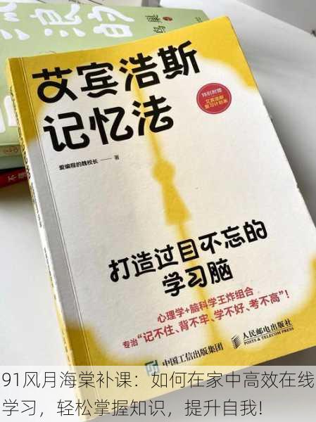 91风月海棠补课:如何在家中高效在线学习,轻松掌握知识,提升自我!