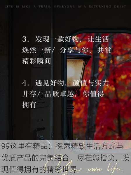 99这里有精品:探索精致生活方式与优质产品的完美结合,尽在您指尖,发现值得拥有的精彩世界