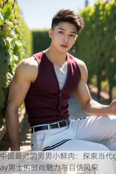 中国最帅的男男小鲜肉:探索当代gay男士的时尚魅力与自信风采