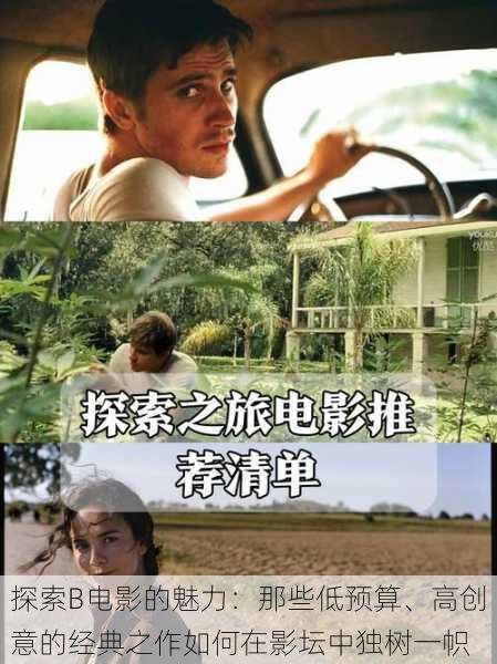 探索B电影的魅力:那些低预算、高创意的经典之作如何在影坛中独树一帜