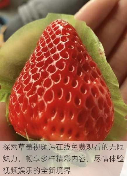 探索草莓视频污在线免费观看的无限魅力,畅享多样精彩内容,尽情体验视频娱乐的全新境界