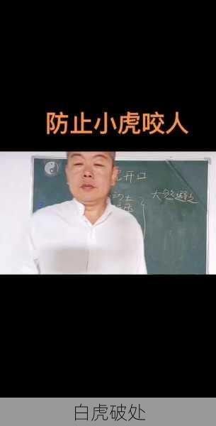 白虎破处