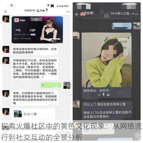 探索火爆社区中的黄色文化现象：从网络流行到社交互动的全景分析