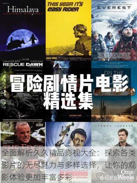 全面解析久久精品影视大全:探索各类影片的无尽魅力与多样选择,让你的观影体验更加丰富多彩