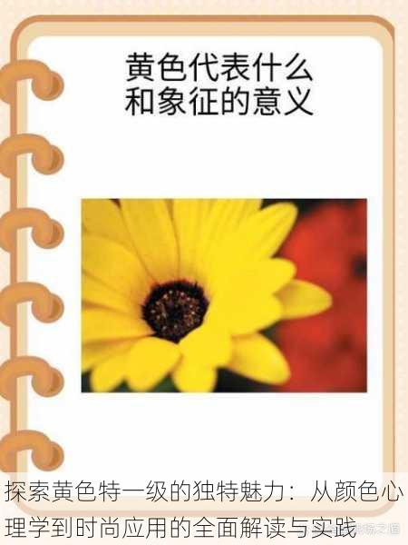 探索黄色特一级的独特魅力:从颜色心理学到时尚应用的全面解读与实践