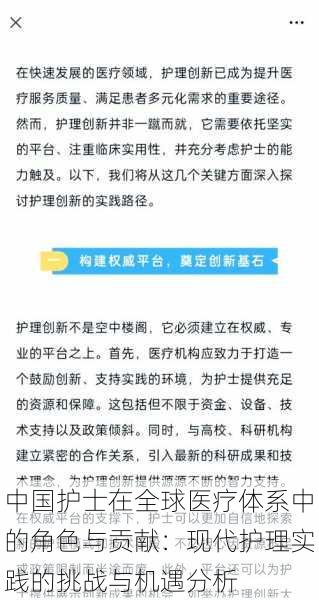 中国护士在全球医疗体系中的角色与贡献：现代护理实践的挑战与机遇分析
