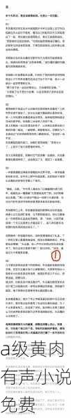 a级黄肉有声小说免费