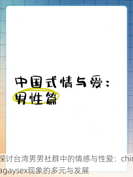 探讨台湾男男社群中的情感与性爱:chinagaysex现象的多元与发展