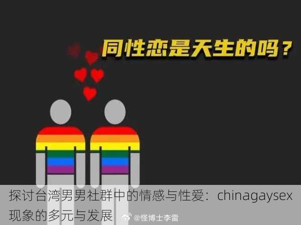 探讨台湾男男社群中的情感与性爱:chinagaysex现象的多元与发展