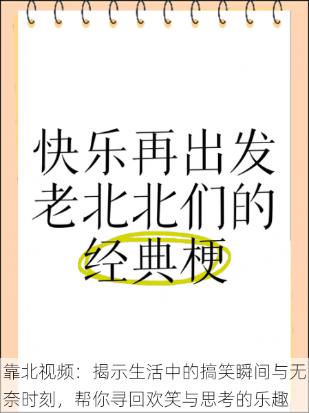 靠北视频:揭示生活中的搞笑瞬间与无奈时刻,帮你寻回欢笑与思考的乐趣